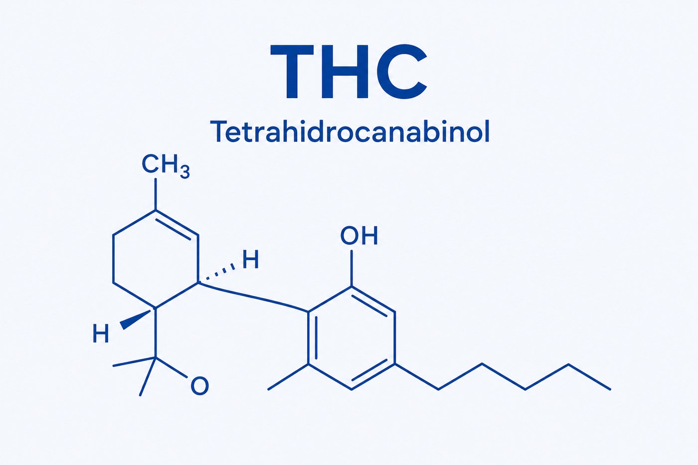 Estrutura molecular do THC (Tetrahidrocanabinol)