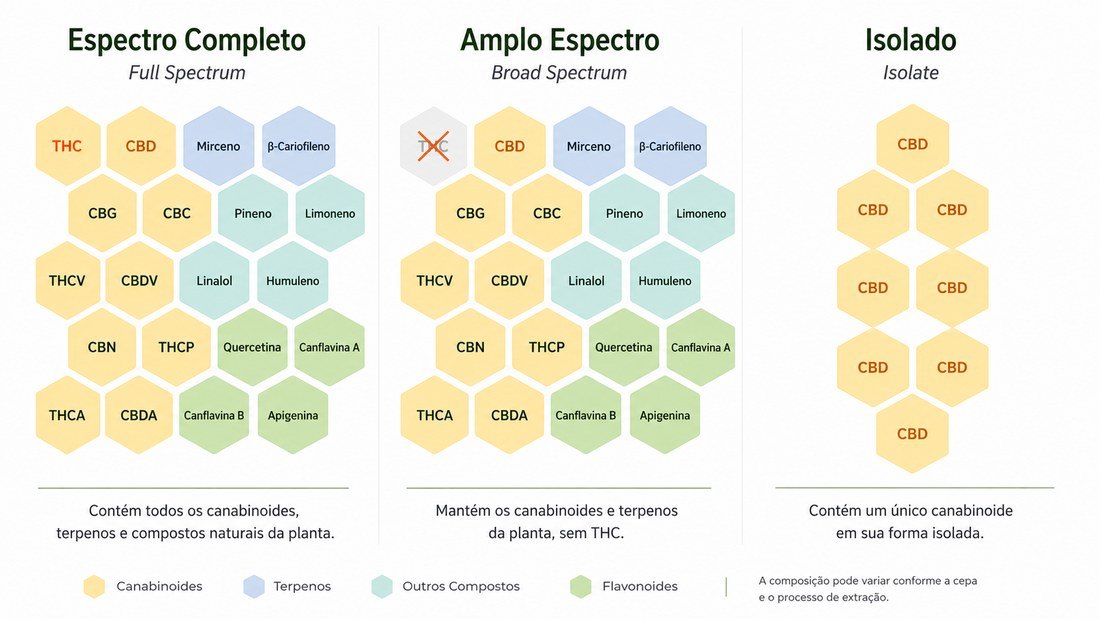 Comparação entre Full Spectrum (espectro completo), Broad Spectrum (amplo espectro) e Isolado, com os canabinoides, terpenos, outros compostos e flavonoides presentes em cada tipo